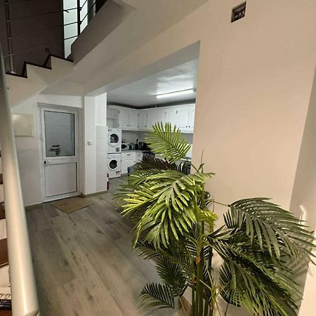 Alvarenga House Maia  エクステリア 写真